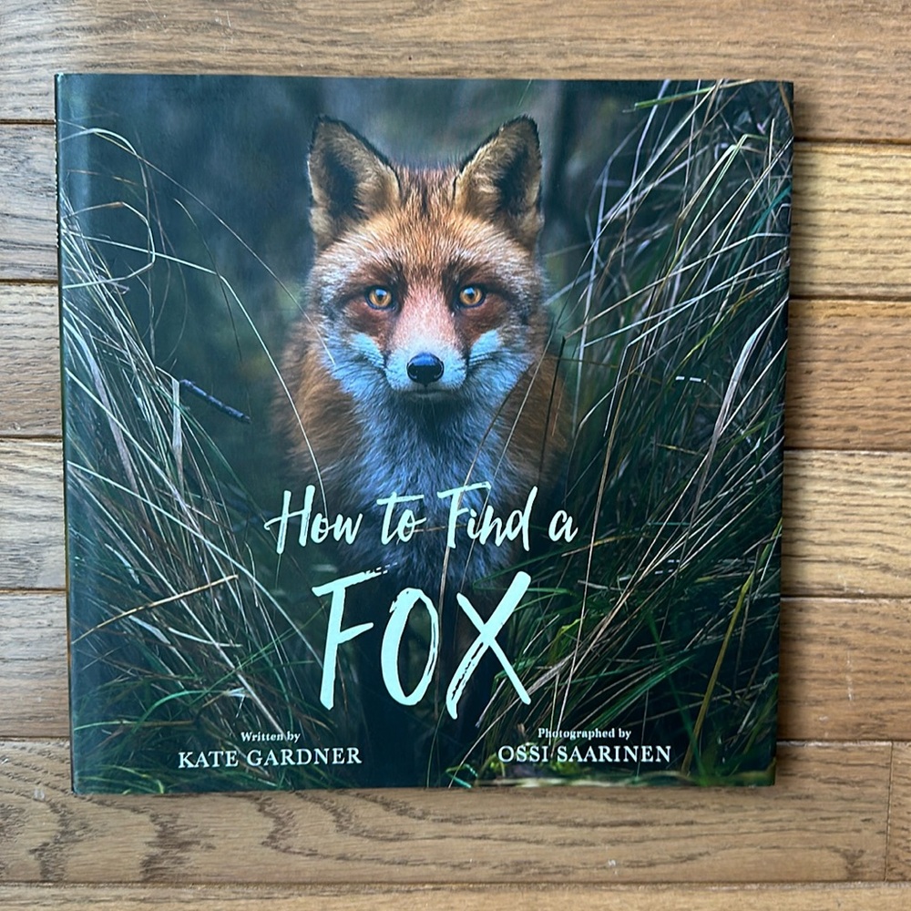 🦊 NEW How To Find A Fox Book Hardcover by Kate Gardner kids book bedtime story - Picture 1 of 13
